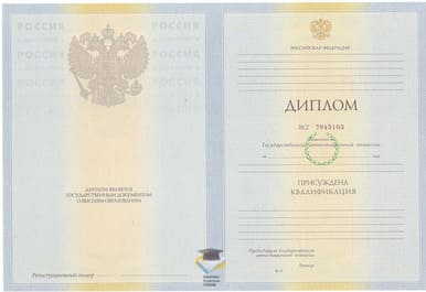 Диплом РИУиП 2010-2011 годов