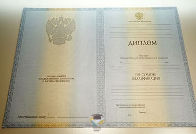 Диплом РИЭ 2012-2013 годов